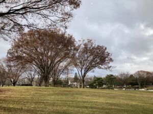 長野市内の冬の公園の画像